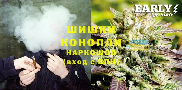 бошки Белокуриха