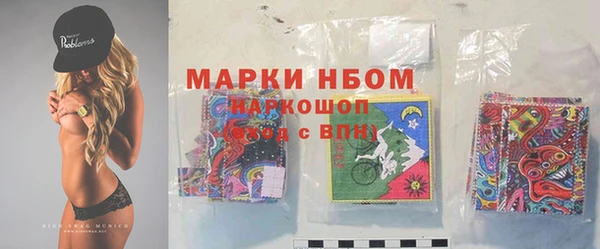бошки Белокуриха