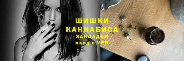 бошки Белокуриха