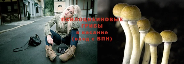 бошки Белокуриха