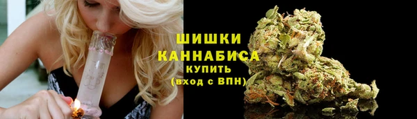 бошки Белокуриха