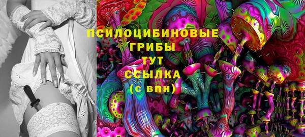 бошки Белокуриха