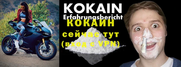 бошки Белокуриха