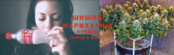 бошки Белокуриха